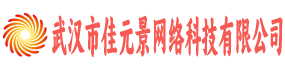 武汉市佳元景网络科技有限公司